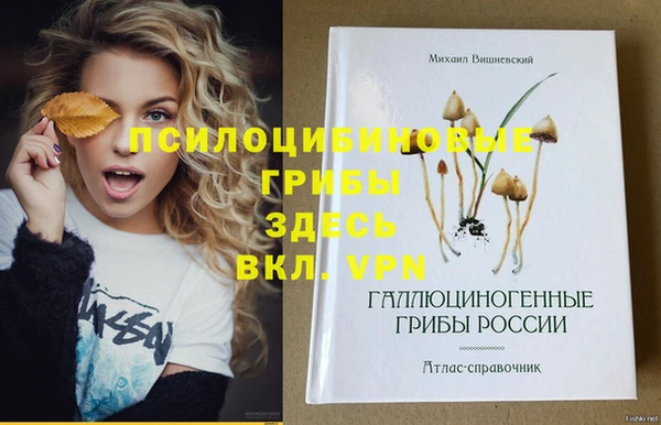 синтетический гашиш Красноперекопск