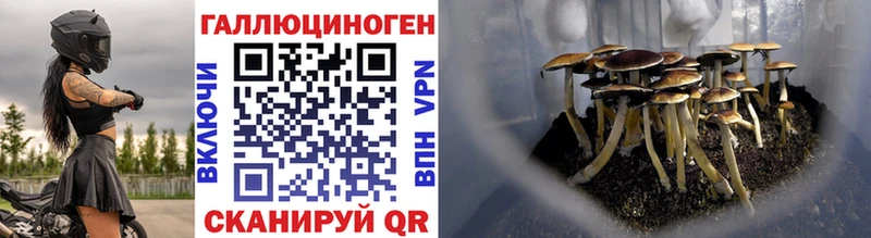 Псилоцибиновые грибы ЛСД  Сокол 