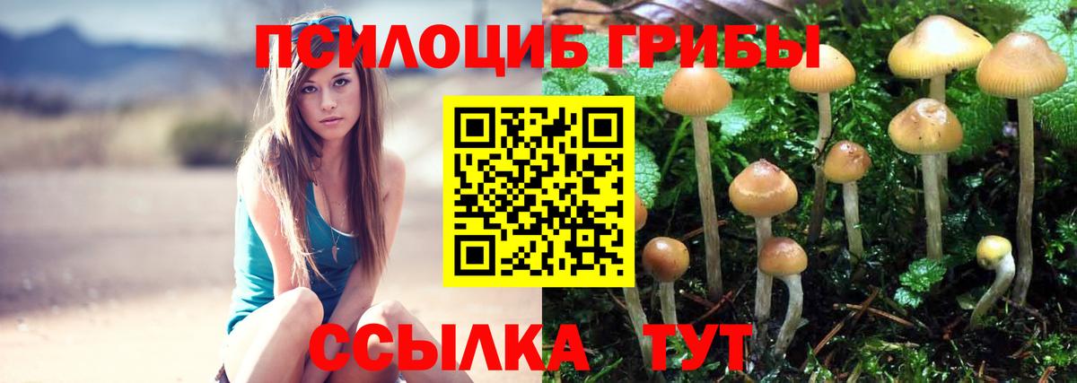 Псилоцибиновые грибы ЛСД Сокол