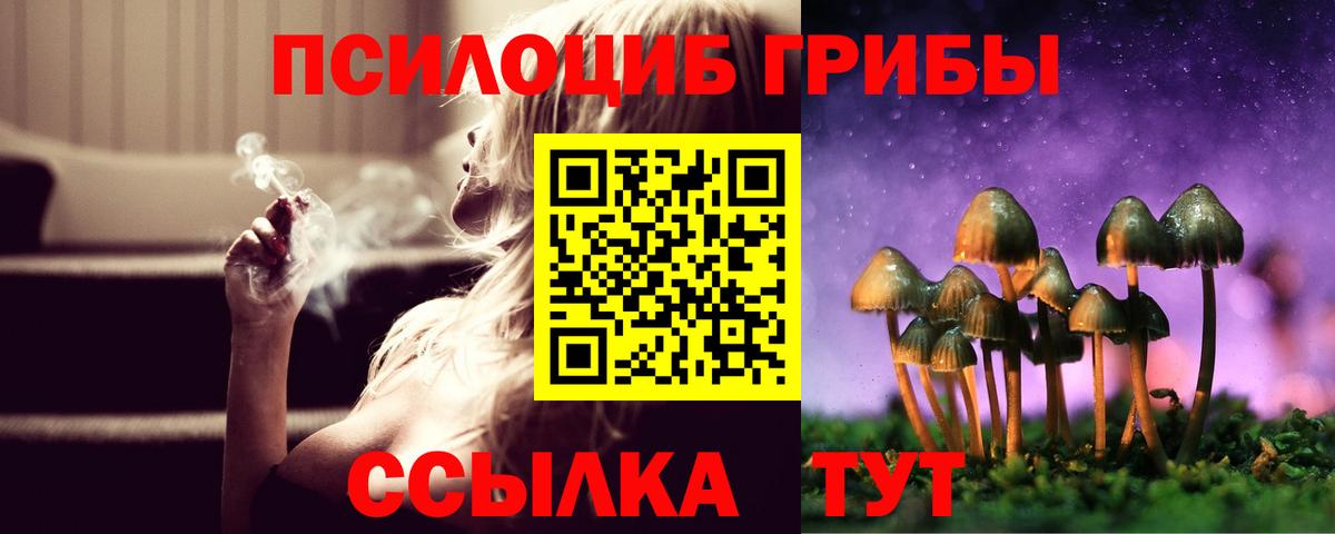 Галлюциногенные грибы Psilocybe  Галлюциногенные грибы Psilocybine cubensis  Сокол  Вход с VPN 